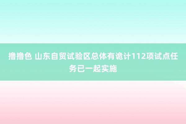 撸撸色 山东自贸试验区总体有诡计112项试点任务已一起实施