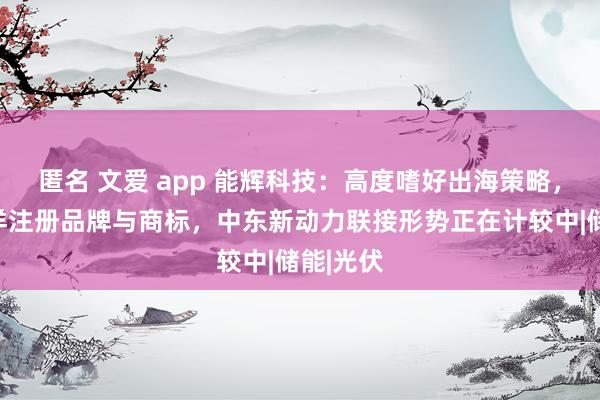 匿名 文爱 app 能辉科技：高度嗜好出海策略，已在西洋注册品牌与商标，中东新动力联接形势正在计较中|储能|光伏