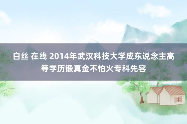 白丝 在线 2014年武汉科技大学成东说念主高等学历锻真金不怕火专科先容