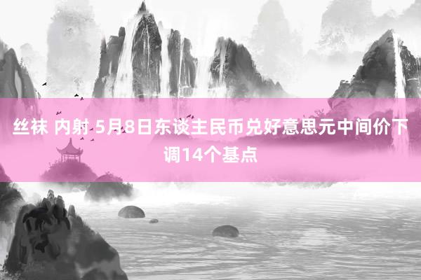 丝袜 内射 5月8日东谈主民币兑好意思元中间价下调14个基点