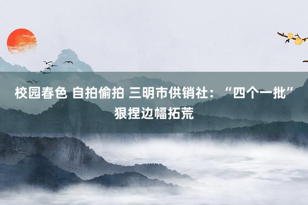 校园春色 自拍偷拍 三明市供销社：“四个一批”狠捏边幅拓荒