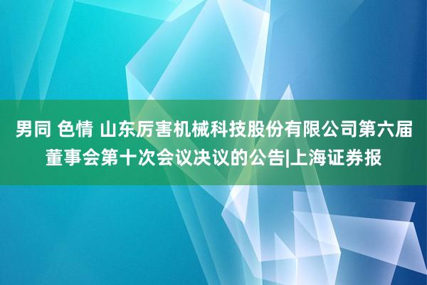 男同 色情 山东厉害机械科技股份有限公司第六届董事会第十次会议决议的公告|上海证券报