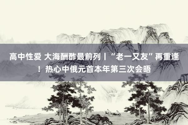 高中性爱 大海酬酢最前列丨“老一又友”再重逢！热心中俄元首本年第三次会晤