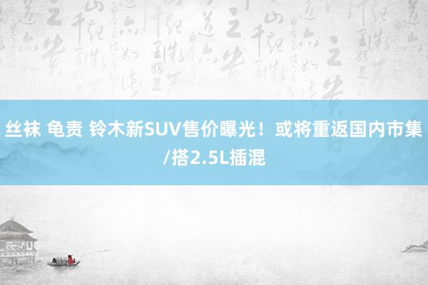 丝袜 龟责 铃木新SUV售价曝光！或将重返国内市集/搭2.5L插混