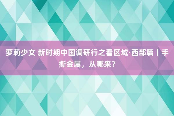 萝莉少女 新时期中国调研行之看区域·西部篇｜手撕金属，从哪来？