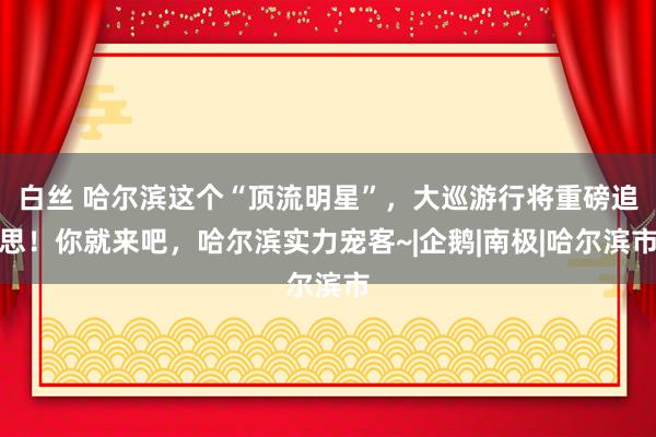 白丝 哈尔滨这个“顶流明星”，大巡游行将重磅追思！你就来吧，哈尔滨实力宠客~|企鹅|南极|哈尔滨市