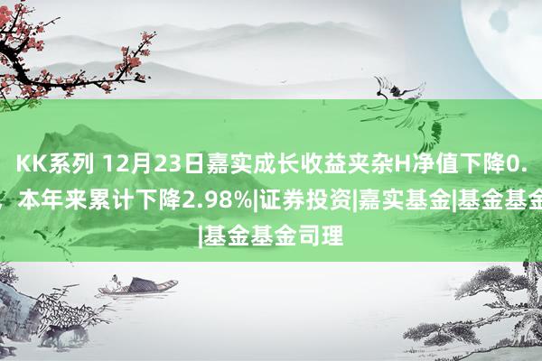 KK系列 12月23日嘉实成长收益夹杂H净值下降0.78%，本年来累计下降2.98%|证券投资|嘉实基金|基金基金司理