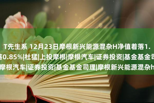 T先生系 12月23日摩根新兴能源混杂H净值着落1.15%，近1个月累计着落0.85%|杜猛|上投摩根|摩根汽车|证券投资|基金基金司理|摩根新兴能源混杂h