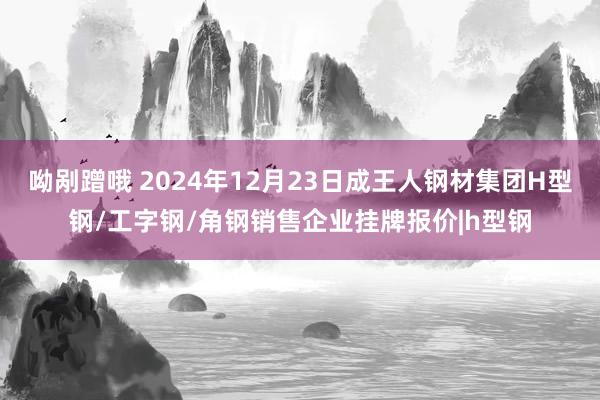 呦剐蹭哦 2024年12月23日成王人钢材集团H型钢/工字钢/角钢销售企业挂牌报价|h型钢