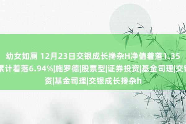 幼女如厕 12月23日交银成长搀杂H净值着落1.35%，本年来累计着落6.94%|施罗德|股票型|证券投资|基金司理|交银成长搀杂h