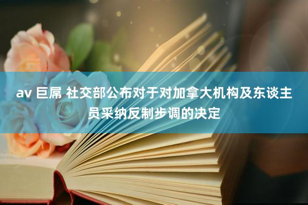 av 巨屌 社交部公布对于对加拿大机构及东谈主员采纳反制步调的决定